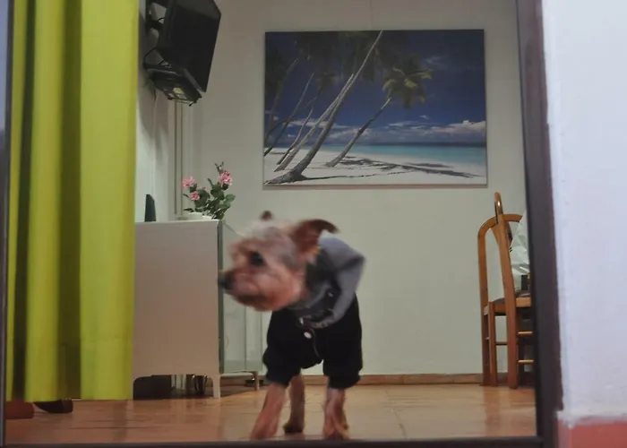 Hébergement de vacances Algarve Vacations Flat *