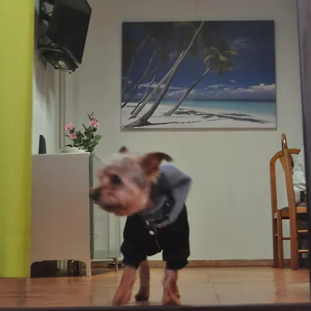 Holiday home Algarve Vacations Flat *